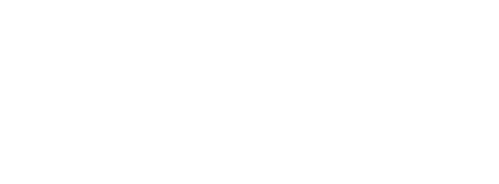 Veil und Partner Logo weiss